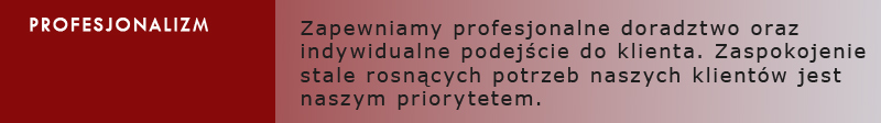 profesjonalizm